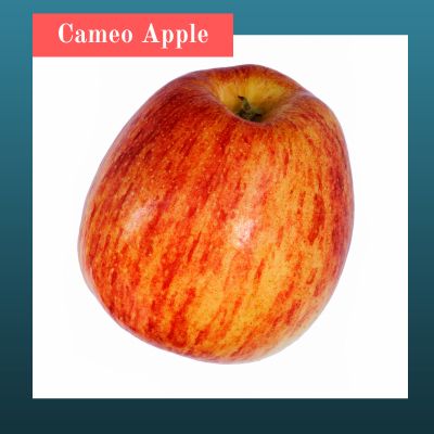 Cameo Apple