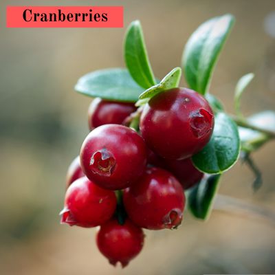 Cranberries