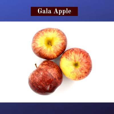 Gala Apple