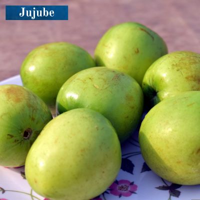 Jujube