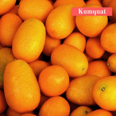 Kumquat