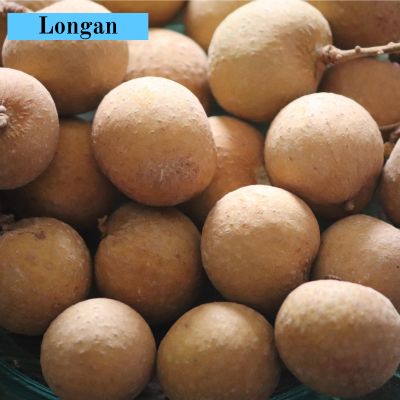 Longan