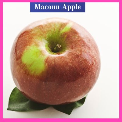 Macoun Apple