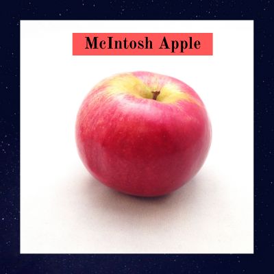 McIntosh Apple