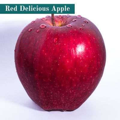 Red Delicious Apple