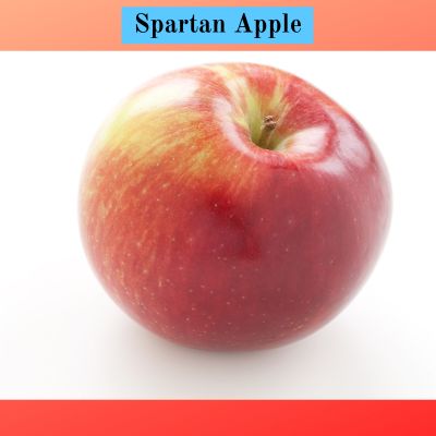 Spartan Apple