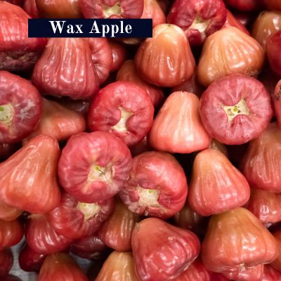 Wax apple