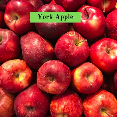 York Apple