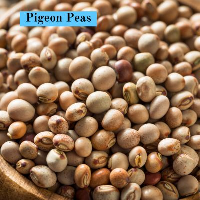 Pigeon Peas