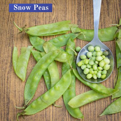 Snow Peas