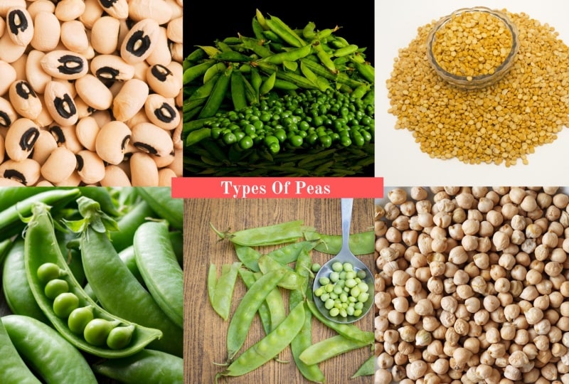 Types Of Peas